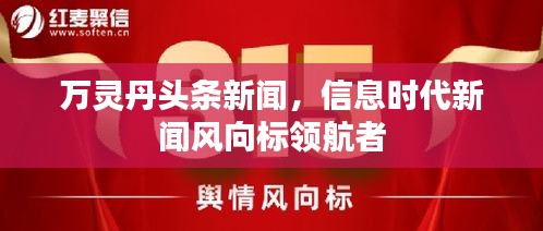 万灵丹头条新闻，信息时代新闻风向标领航者