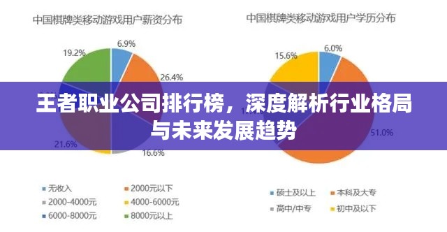 王者职业公司排行榜，深度解析行业格局与未来发展趋势