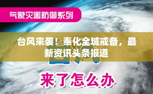 台风来袭！奉化全城戒备，最新资讯头条报道