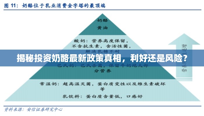 揭秘投资奶酪最新政策真相，利好还是风险？