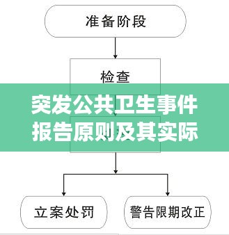 突发公共卫生事件报告原则及其实际应用解析