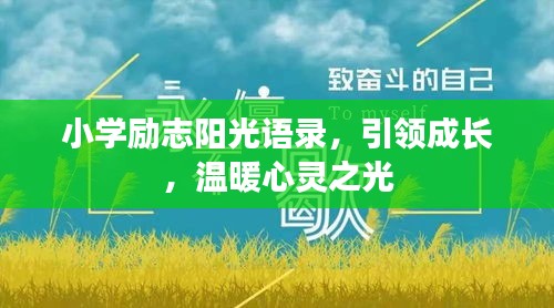 小学励志阳光语录，引领成长，温暖心灵之光