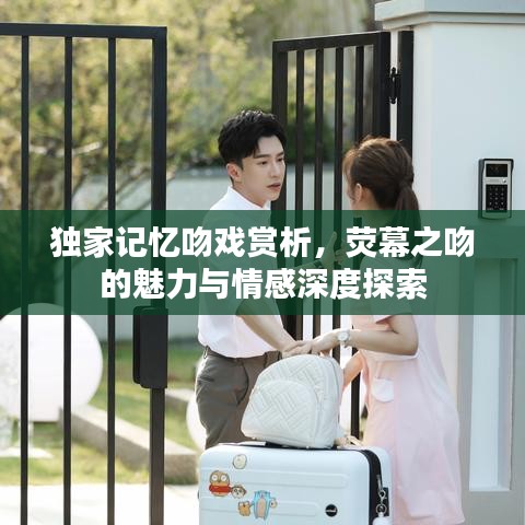 独家记忆吻戏赏析，荧幕之吻的魅力与情感深度探索