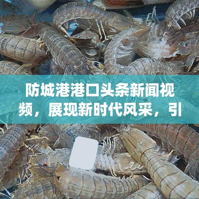 防城港港口头条新闻视频，展现新时代风采，引领港口蓬勃发展