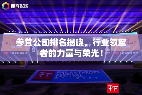 参茸公司排名揭晓，行业领军者的力量与荣光！