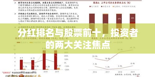 分红排名与股票前十，投资者的两大关注焦点