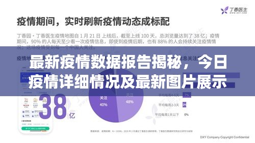 最新疫情数据报告揭秘，今日疫情详细情况及最新图片展示