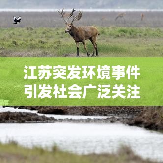 江苏突发环境事件引发社会广泛关注热议