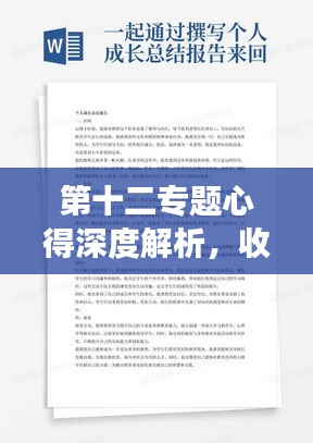 第十二专题心得深度解析，收获、成长与启示