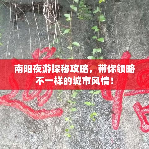 南阳夜游探秘攻略，带你领略不一样的城市风情！