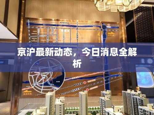京沪最新动态，今日消息全解析